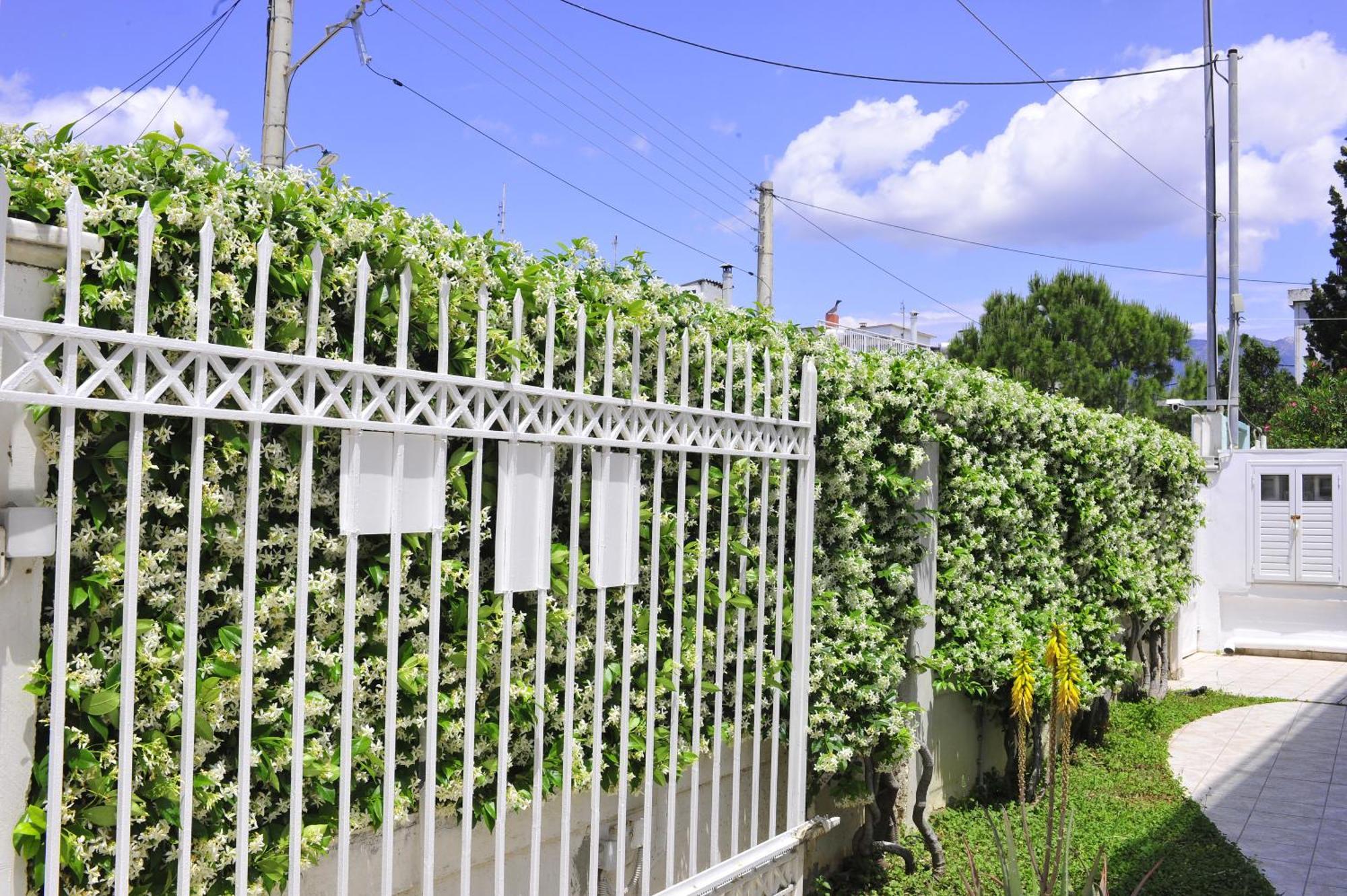 Peloponeese Corinthos Seaside Villa For Short Rent Экстерьер фото